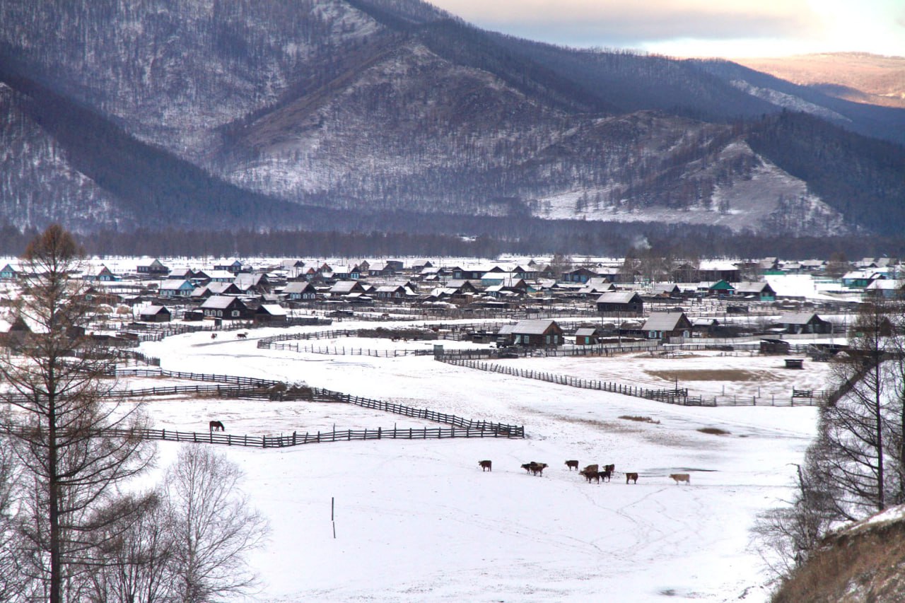 Бурятия из окна автомобиля Бурятия из окна автомобиля