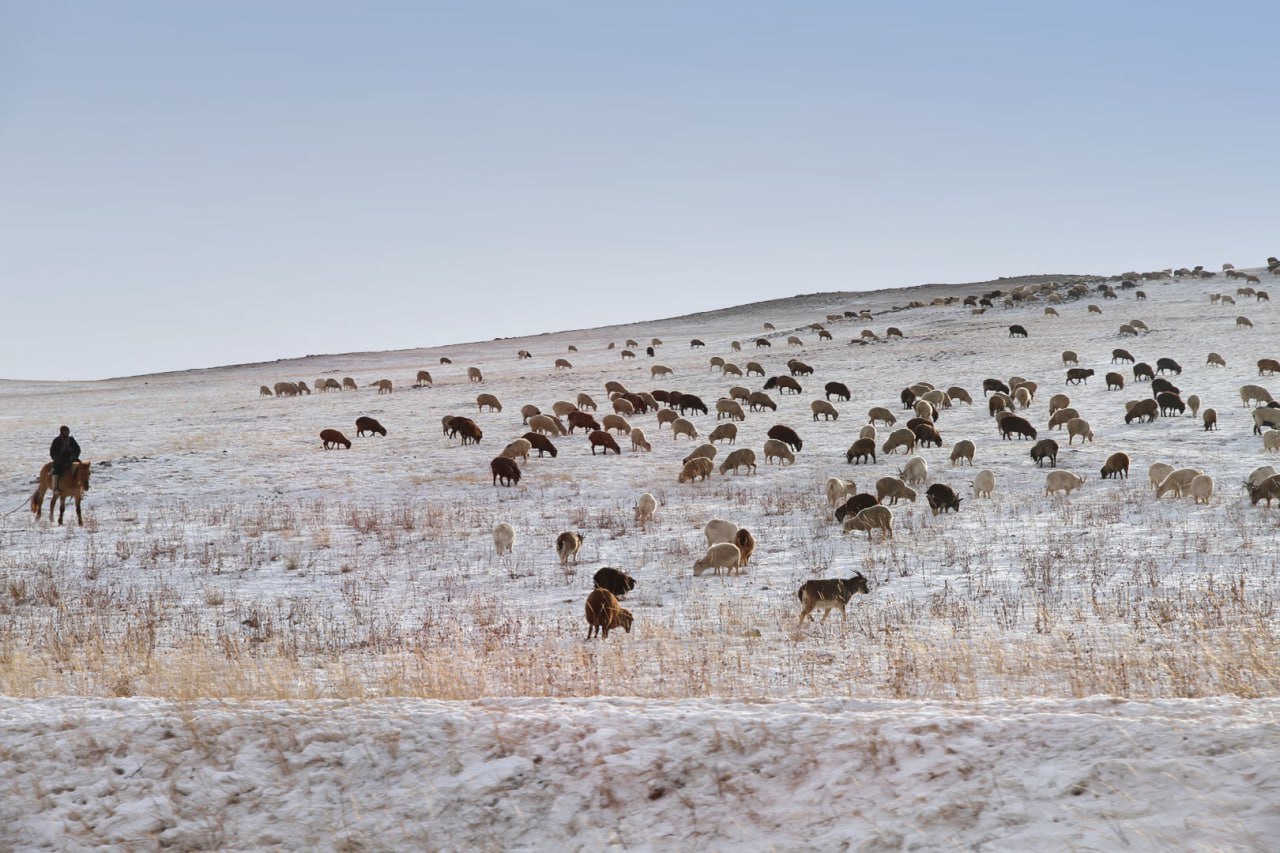 Бурятия из окна автомобиля Бурятия из окна автомобиля