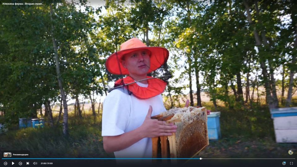 ������ �� ������� ������� ������ � �������� ����������� ������ ���������� 2025�