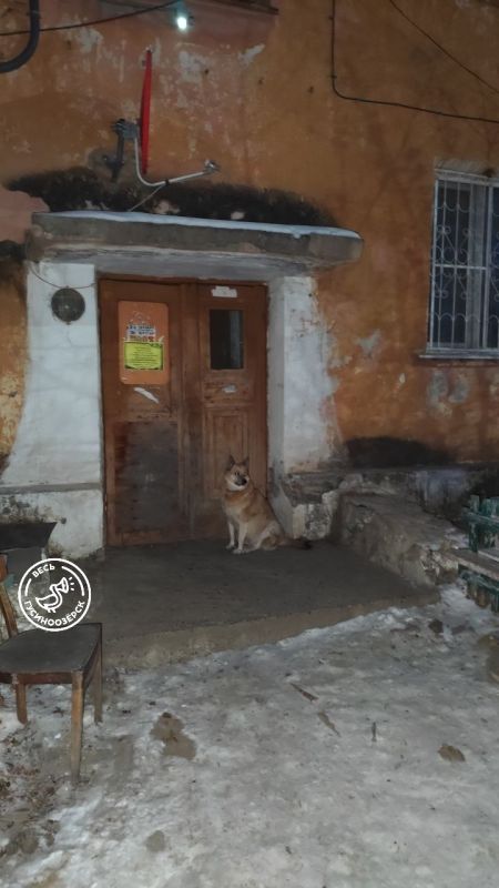 � ������� ������������� ������ ������ ��� ���� ���