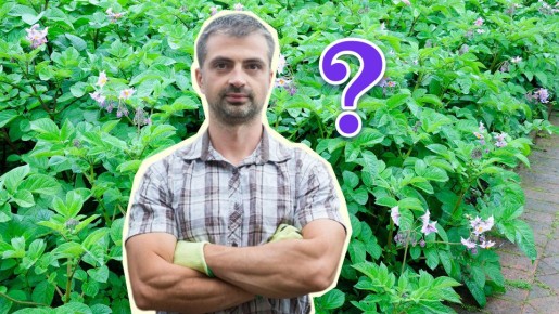 ������ �������� ���������� ��� ������: �������� � ���������� ��� ���