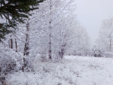 � ������� ����� ���������� ������