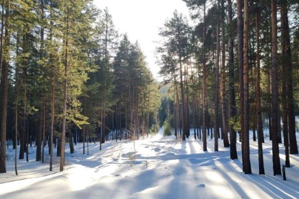 ������� ������� ��������-�������� ������ � �������� � ��������