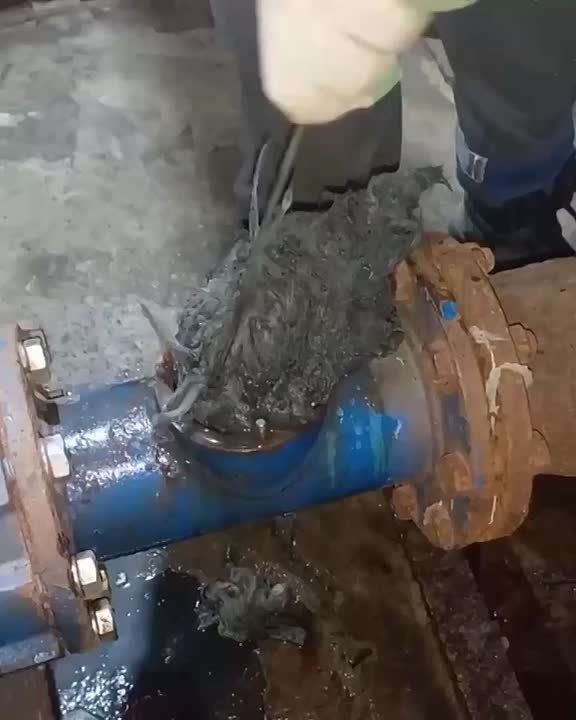 ������ ��������, � ������ � �������: ���������� ���������� � �������� ����������� ������������