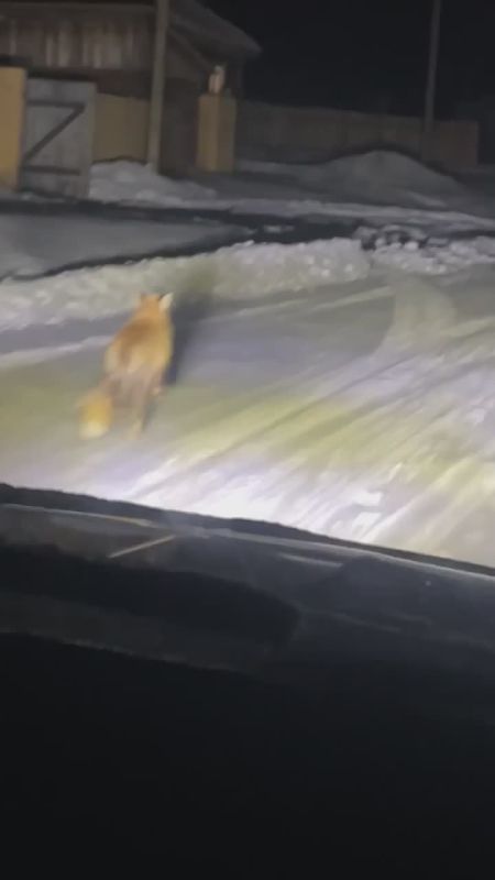 ���� �������� � ���� �������