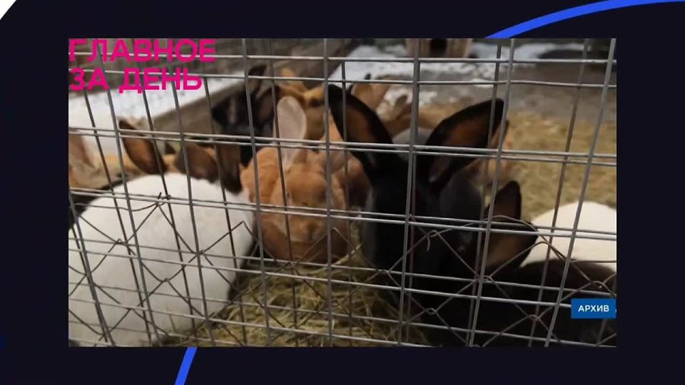 ������� �� ����: ������� ��� �������, �������������� ����-��� � ������� � �����������