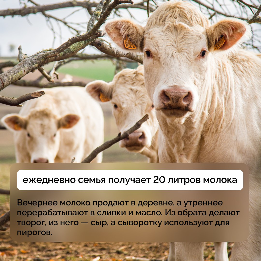 Отвечая на вопросы жителей страны во время ежегодной прямой линии, Президент РФ Владимир Путин подчеркнул важность мер поддержки семей с детьми, отметив, что именно эта категория граждан должна находиться в центре внимания... Отвечая на вопросы жителей страны во время ежегодной прямой линии, Президент РФ Владимир Путин подчеркнул важность мер поддержки семей с детьми, отметив, что именно эта категория граждан должна находиться в центре внимания...