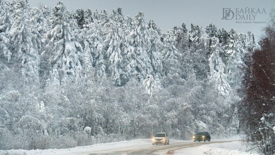 В Бурятии опровергли использование запрещённых реагентов