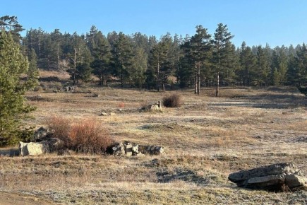 ������ ���������� ������������� � ������� ���� ������� ������������� ����������