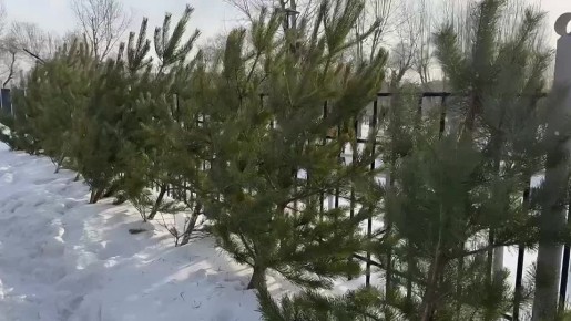 ������ ����� ���� ����� � ������ ������