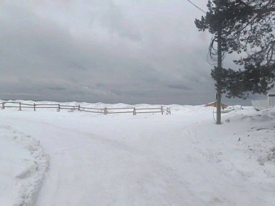 ������� ��������������� ���� ��������� ����������� ����������, ����������� � �������