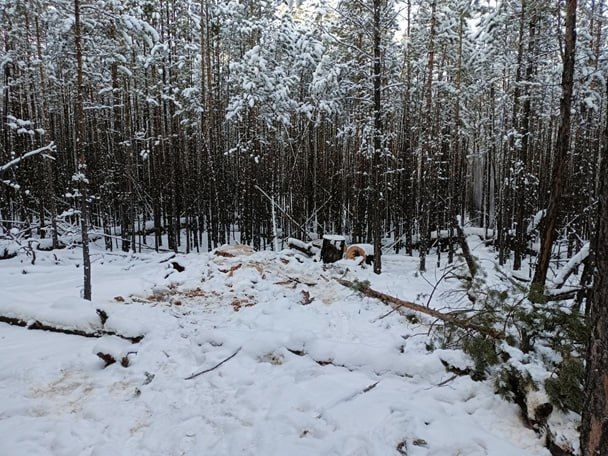 ����������� ��������� ������������� ���������� �� ���������� ���� � ���������� ����� ���� � ����� ������� �������