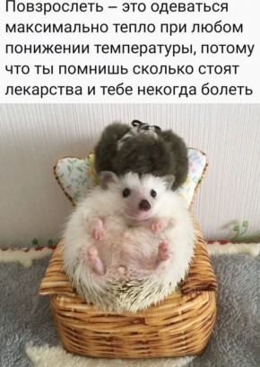 ������ ����). 26 ������� �� ����������: ���������� ����������, �� ��������� ����������� � ������������ ������ ������� ��������� ����, �� ��������� ���������� ��������������� ��� �������