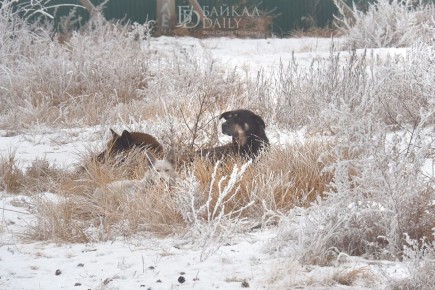 �������� �� ���� �����!�. ������ ������������ ����� ���� ������� ��-�� �����