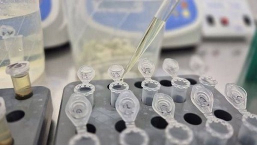 ����������� ������ ������ ���� ��������� 7300 ������������ �������� ��� ������ ��������� ����� � 2025 ����