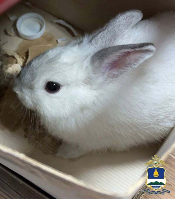 ������ � ������� ������ ������� � �������� ����������� �������