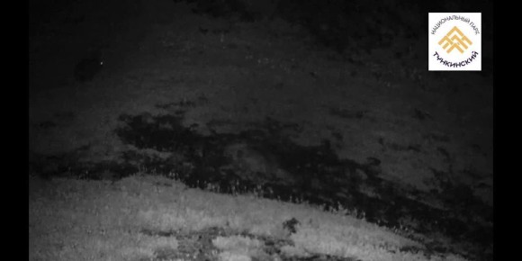 � �������� ����������� ����������� �������� ������� ����-�����