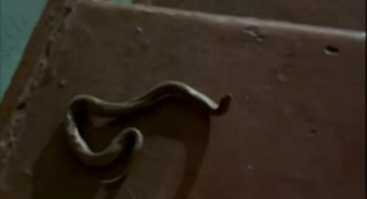 � �������� ���� �� ��������� ������ ���������� ����������� ����