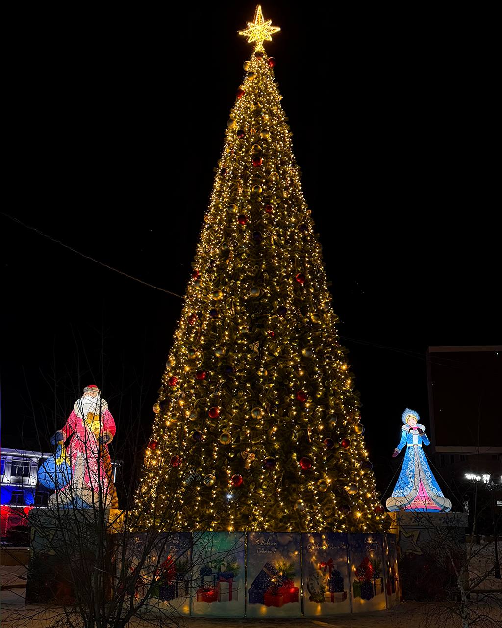 Новогодние ёлки Улан-Удэ в вечернем убранстве Новогодние ёлки Улан-Удэ в вечернем убранстве