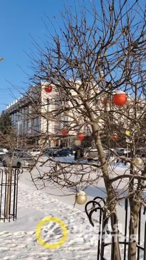 На площади Советов украсили дерево игрушками