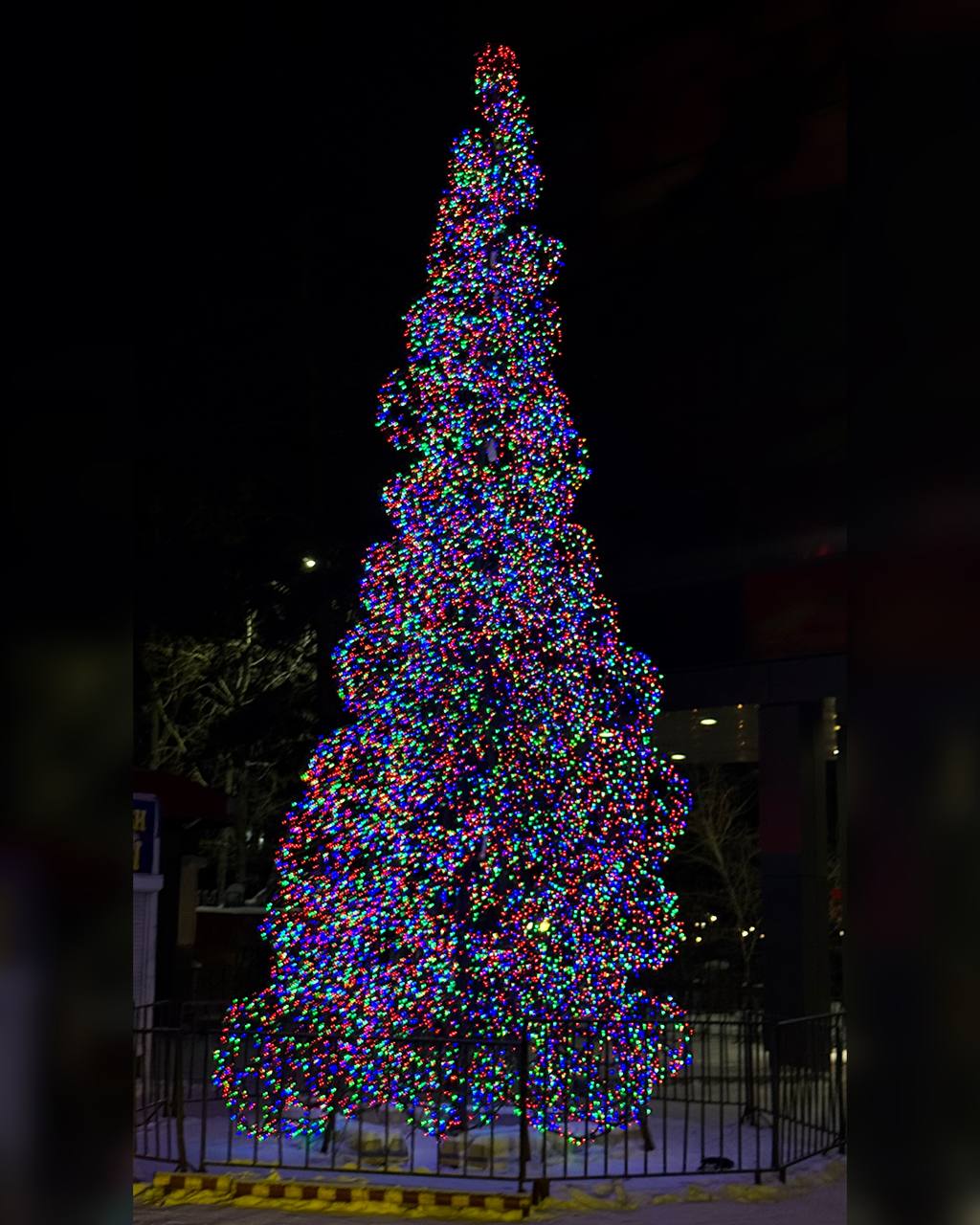 Новогодние ёлки Улан-Удэ в вечернем убранстве Новогодние ёлки Улан-Удэ в вечернем убранстве