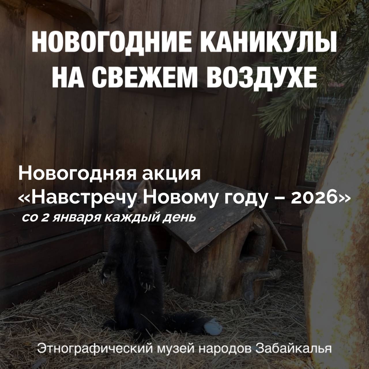 Новогодние семейные каникулы 2025-2026 Новогодние семейные каникулы 2025-2026