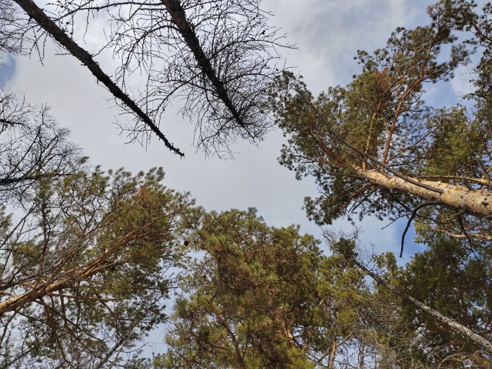 ���������� ������� ��������� ������������� �� �������� � ������� 120 ��� ������