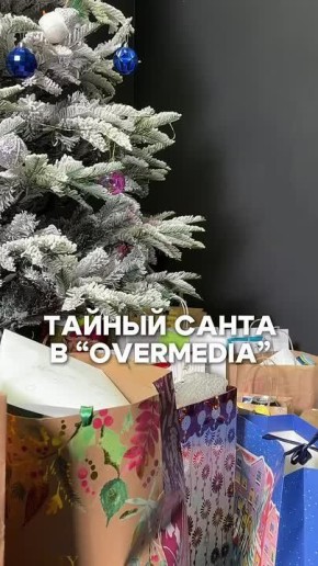 наша команда