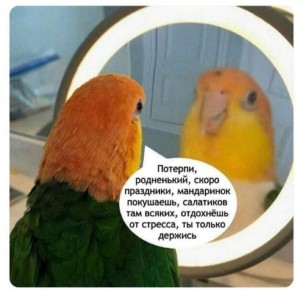 ������ ����). 30 ������� �� ����������: ���������� ����������, ��������������� ��� �������