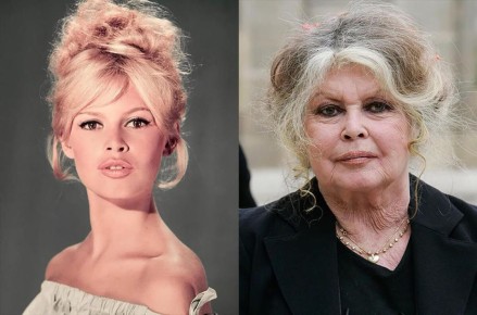 ��� ����� ��������� ������� ����� 50: �������� ������ �����