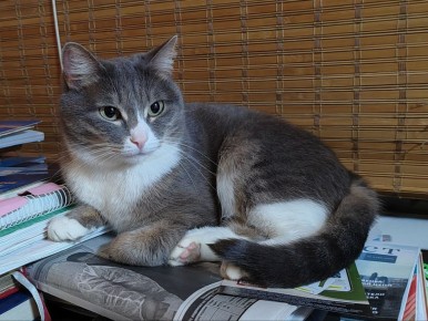 � �� �����, ��� ������ ����� ������������ ��������� ��� �����