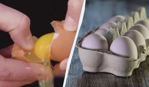 Изящный способ разбивания яйца: советы от эксперта