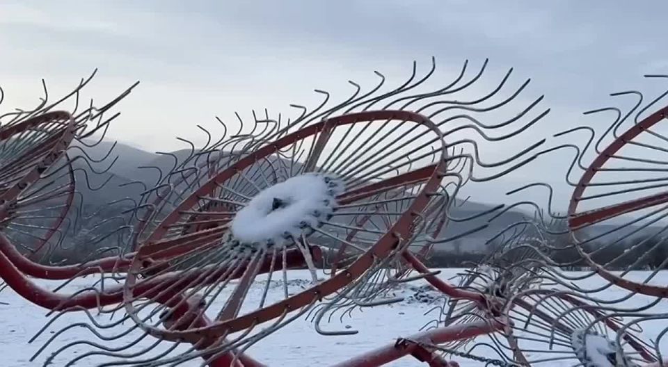 ������� ��� ���������� ����� �� ������ �����