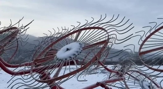 Ветеран СВО возрождает ферму на родной земле