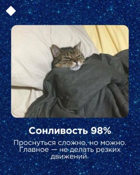 Четвертый день отдыха, полет нормальный