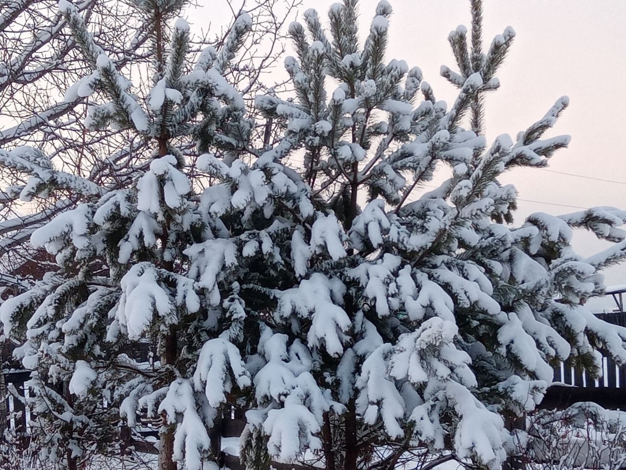 Снег, ветер и метели ожидаются в Бурятии