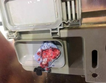 ������ ����� ����� �������� ����� ��������: ��� ������ ������������ ������ ������