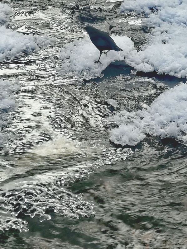 �������, ��� �������� � ������ ��� ����� ���� �������, ���� ���������� �������