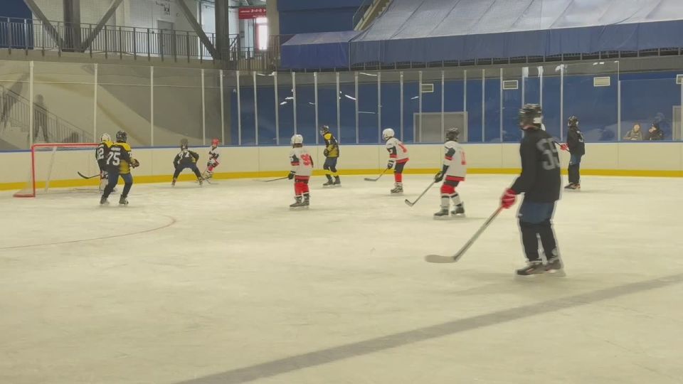 ��������������� ������������ ���� ���������� �������� �����