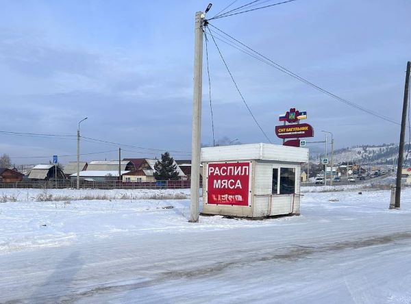 В Бурятии бродячие собаки напали на девушку
