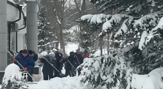 Не для галочки!. Пользователи соцсетей заценили видео с убирающим снег Лукашенко