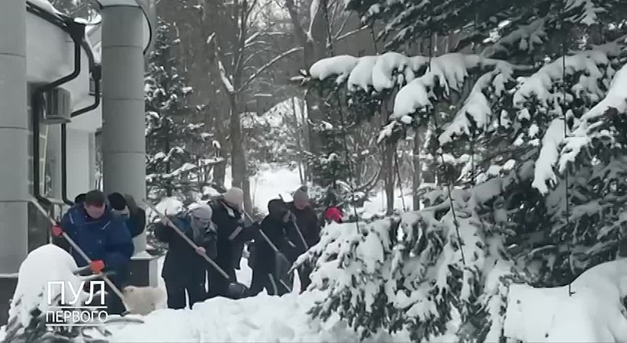 Не для галочки!. Пользователи соцсетей заценили видео с убирающим снег Лукашенко