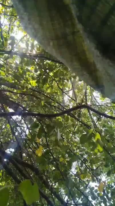 ������ �������: �������� ��� ����������� 5 ��������� ����������� �������� ������� �� ������� ����� ������������ ���� ������ ���