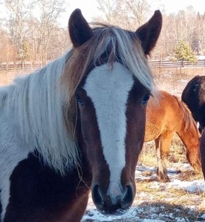 � ������� ��������� ��������� ��� ����������� ������� 50 ����� ������