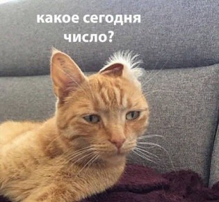 Доброе субботнее утро!. Новогодние выходные вышли на финишную прямую, успевайте набраться сил перед грядущей рабочей неделей