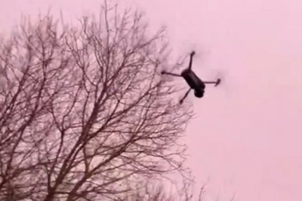 ��������� ���� �� ������� �������� ������ �� ������� �����������