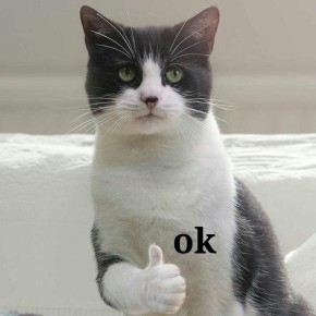 ������� ����� ���������� ����� � ������� �����