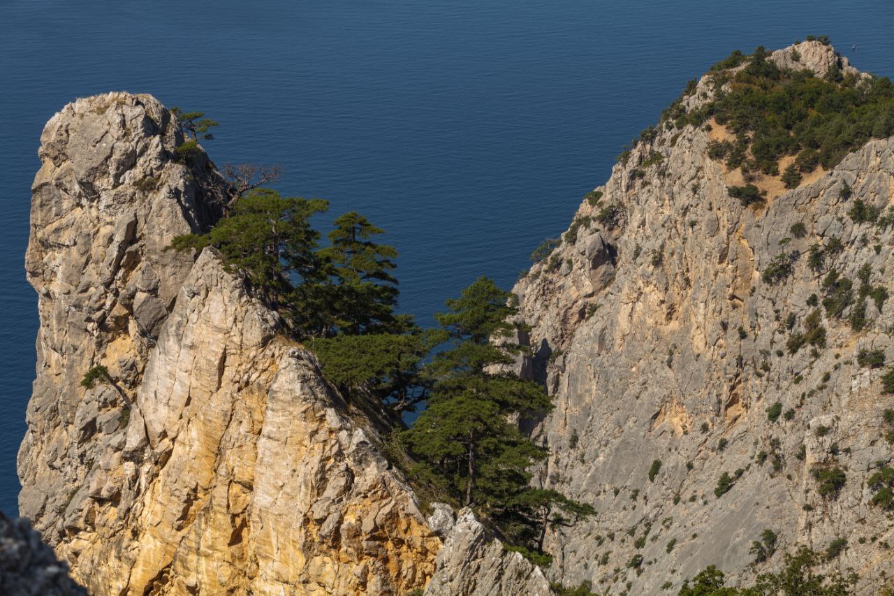 Михаил Развожаев: Сегодня — Всероссийский день заповедников и национальных парков Михаил Развожаев: Сегодня — Всероссийский день заповедников и национальных парков