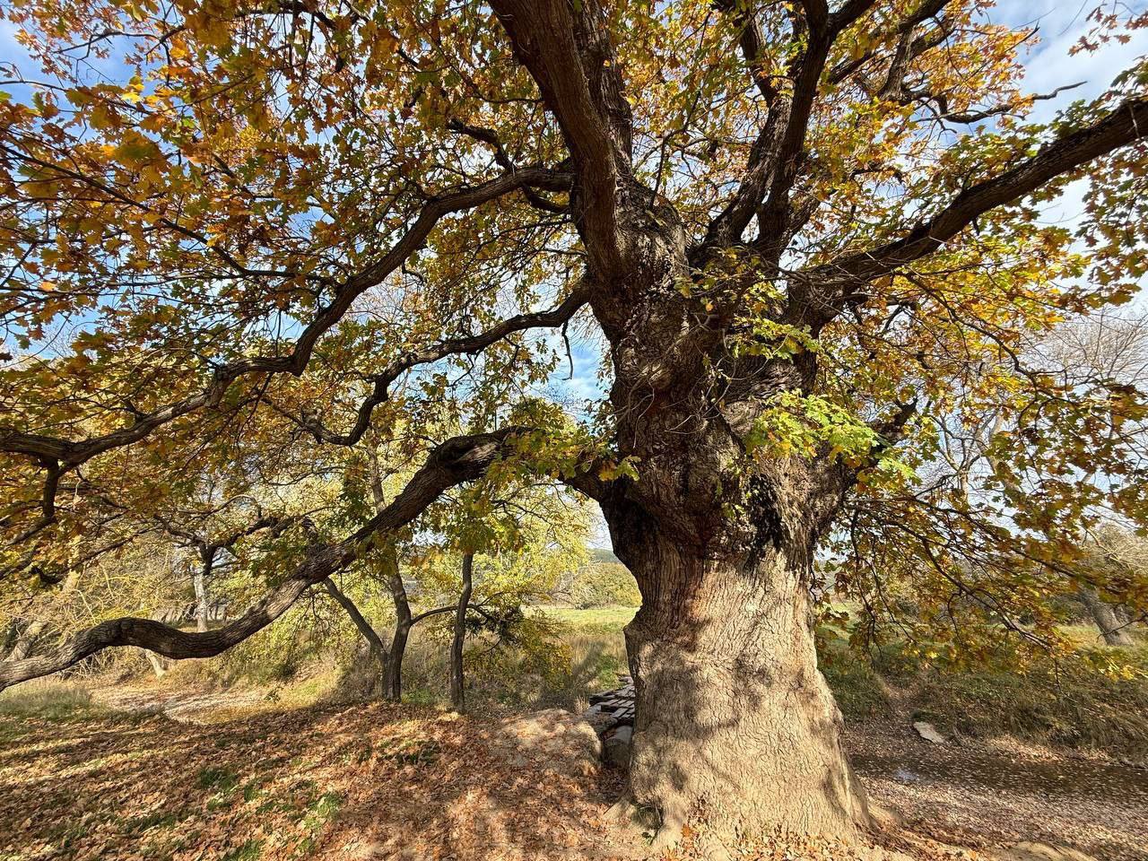 Михаил Развожаев: Сегодня — Всероссийский день заповедников и национальных парков Михаил Развожаев: Сегодня — Всероссийский день заповедников и национальных парков