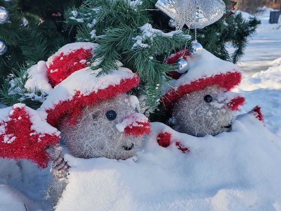 ����������� ��������� �������� �������� �������� � ������ �������������